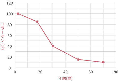 真皮の70%はコラーゲンで出来ている