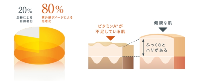 紫外線による光老化に着目したビタミンA補給スキンケアる