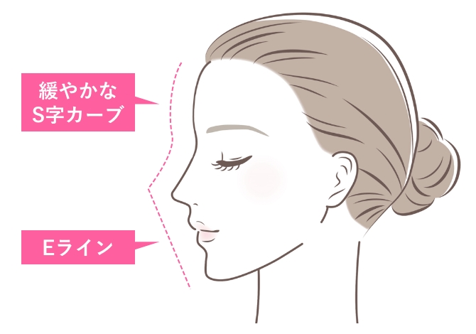 日本人が好む美しい横顔のイメージ