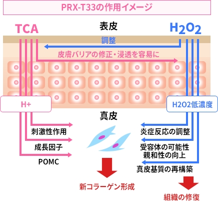 マッサージピールPRX-T33のメカニズム