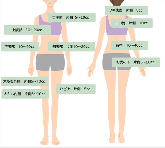 施術部位一覧図