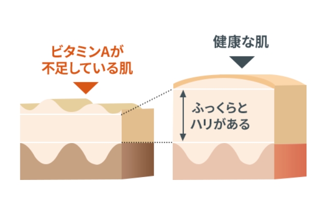 ビタミンAの効果のイメージ画像