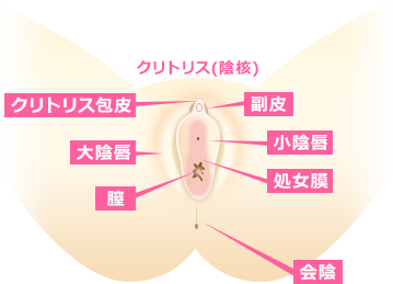 各部位の名称
