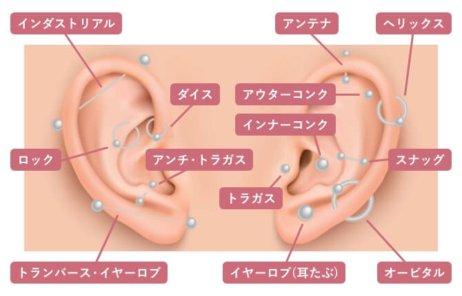 ピアッシング可能位置