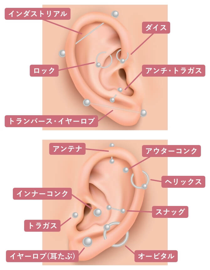 ピアッシング可能位置