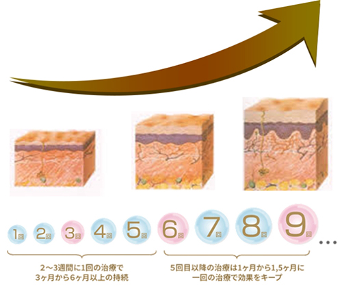 「非架橋製剤」の特性