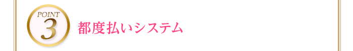 POINT3 都度払いシステム