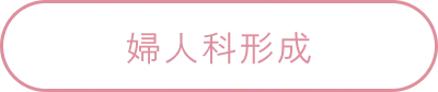 婦人科形成