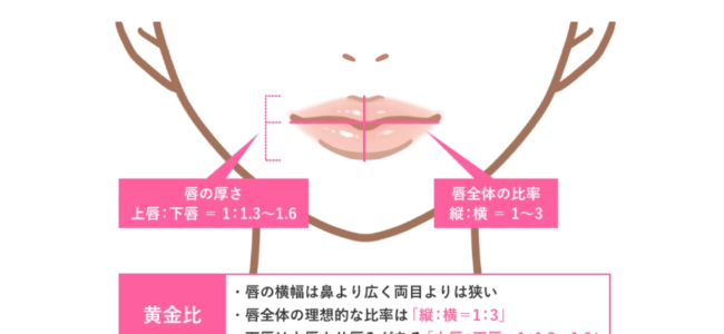 ヒアルロン酸注入(唇)