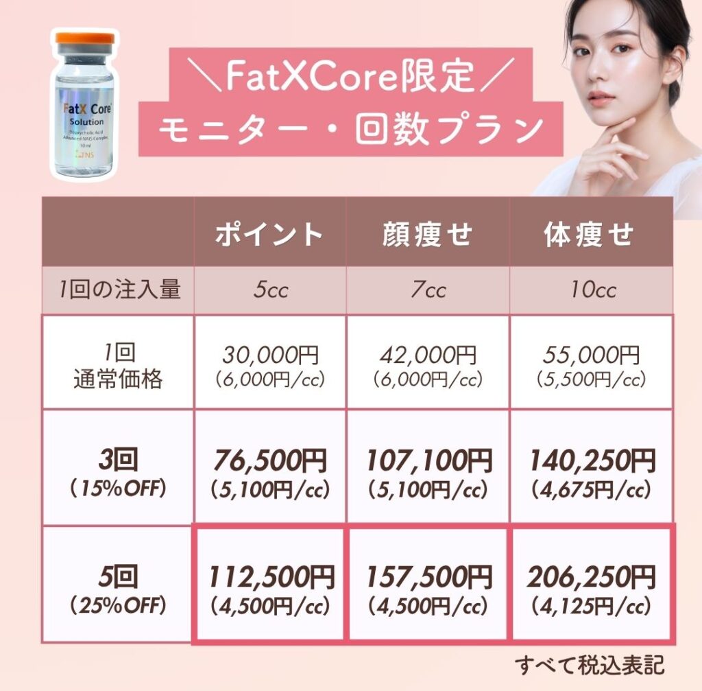 FatXCoreモニタ料金一覧表