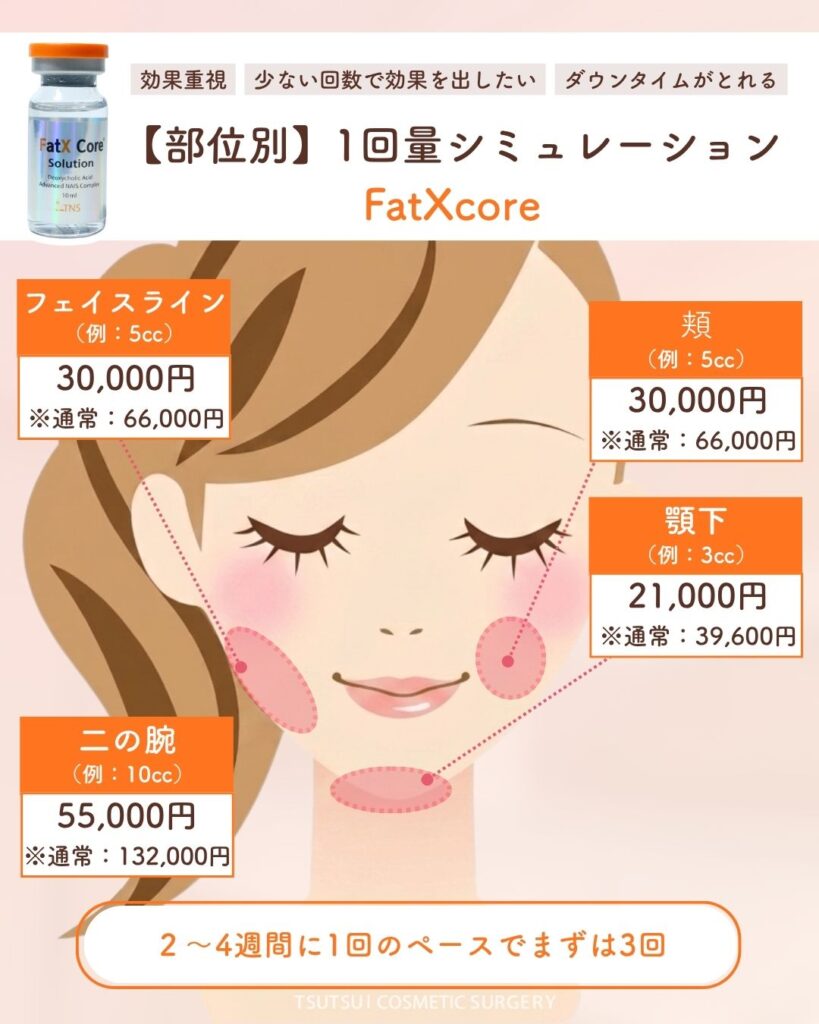 【部位別】1回量 シュミレーション FatXCore