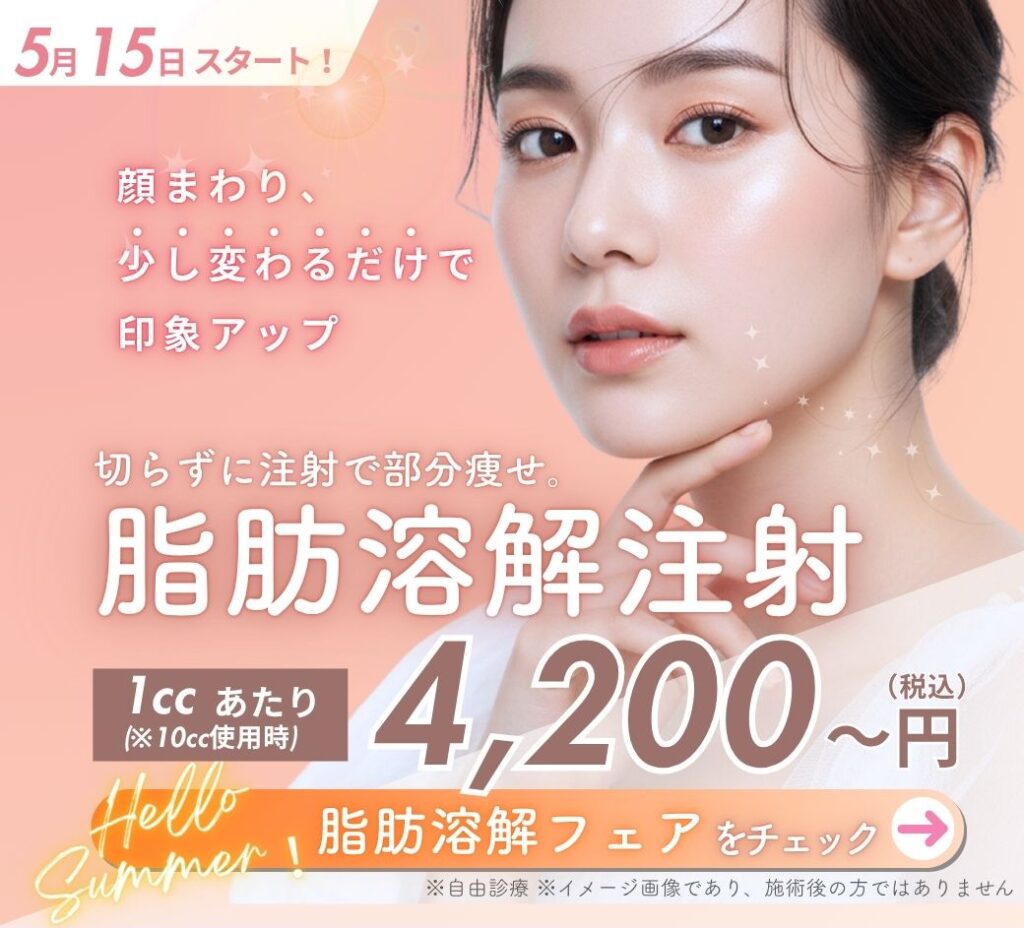 5/15スタート！脂肪溶解フェア