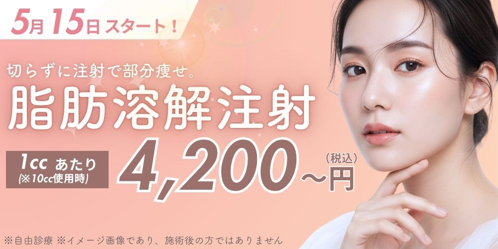 脂肪溶解フェア