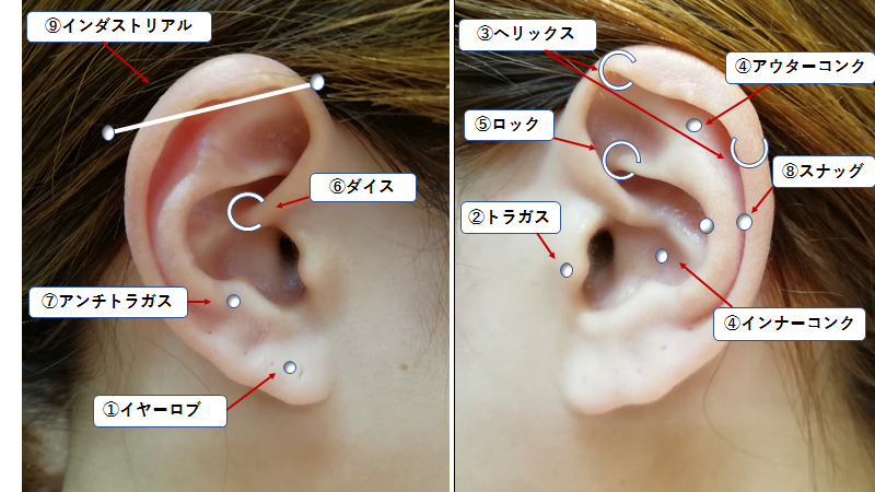 ピアスは病院で 開け方や消毒法は 安全な位置徹底解明 大阪の美容整形 ツツイ美容外科 美容皮膚科 心斎橋