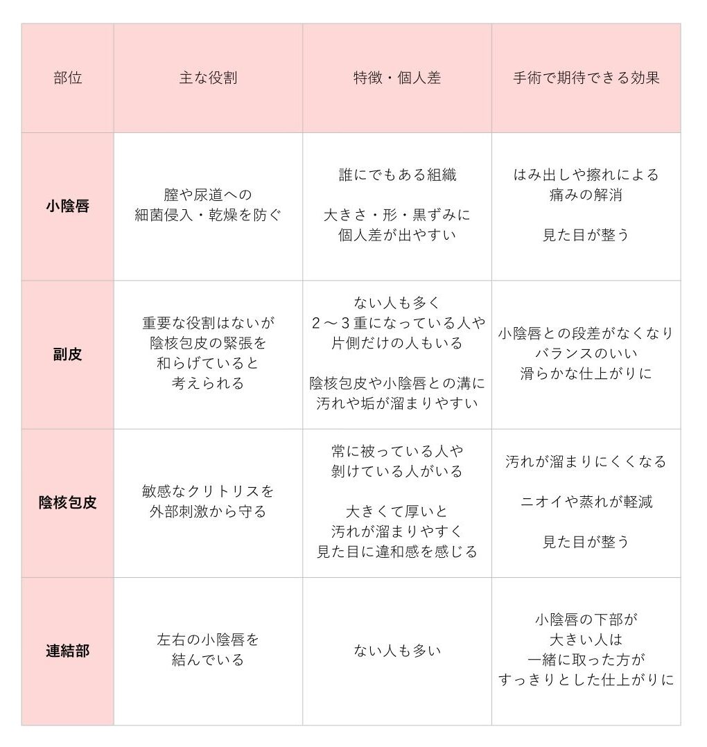 婦人科形成 部位別 役割 効果 一覧表